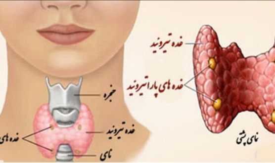 راهنمای خودمراقبتی بیماران تیروئیدوکتومی
