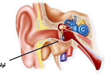 راهنمای خودمراقبتی بیماران گذاشتن لوله در گوش