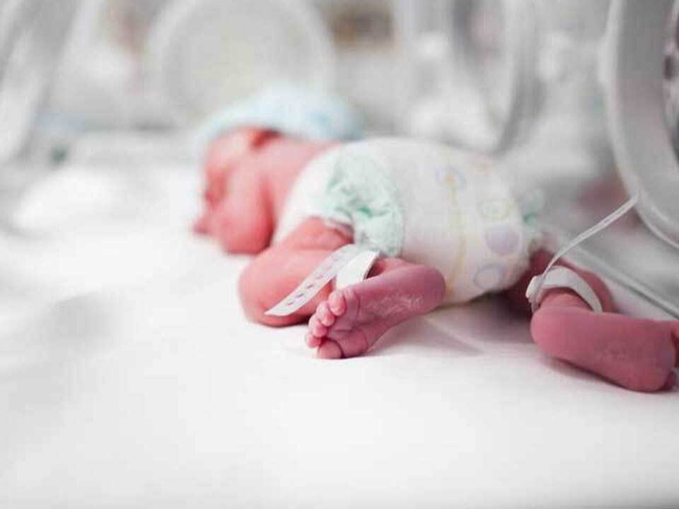 تغذیه نوزاد نارس