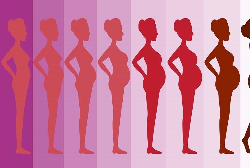 تغییرات و سازگاري هاي بدن در بارداري