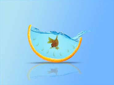 Creative Fish Tank